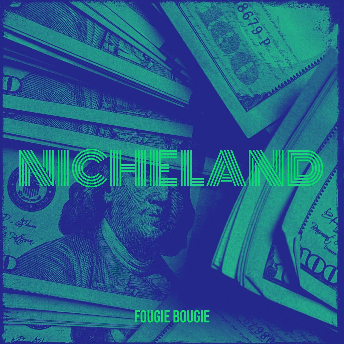 Album cover of nicheland