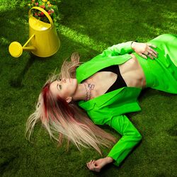 Cover of Greener