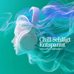 Cover of Chill Schlägt Entspannt