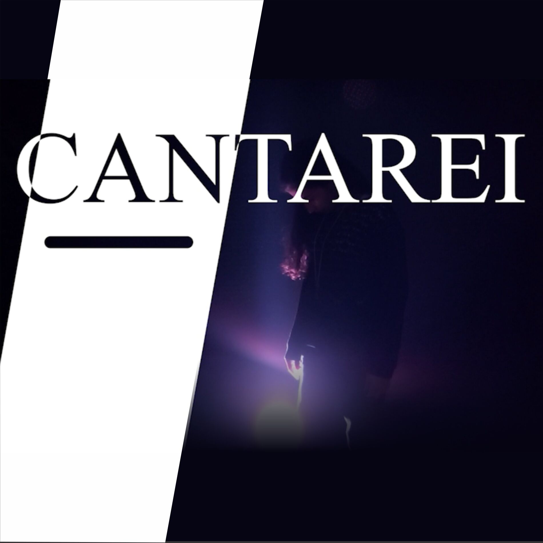 Album cover of Cantarei