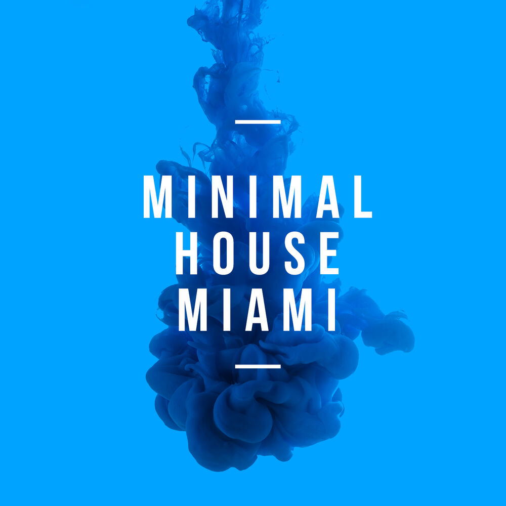 Picture of Minimal House Miami