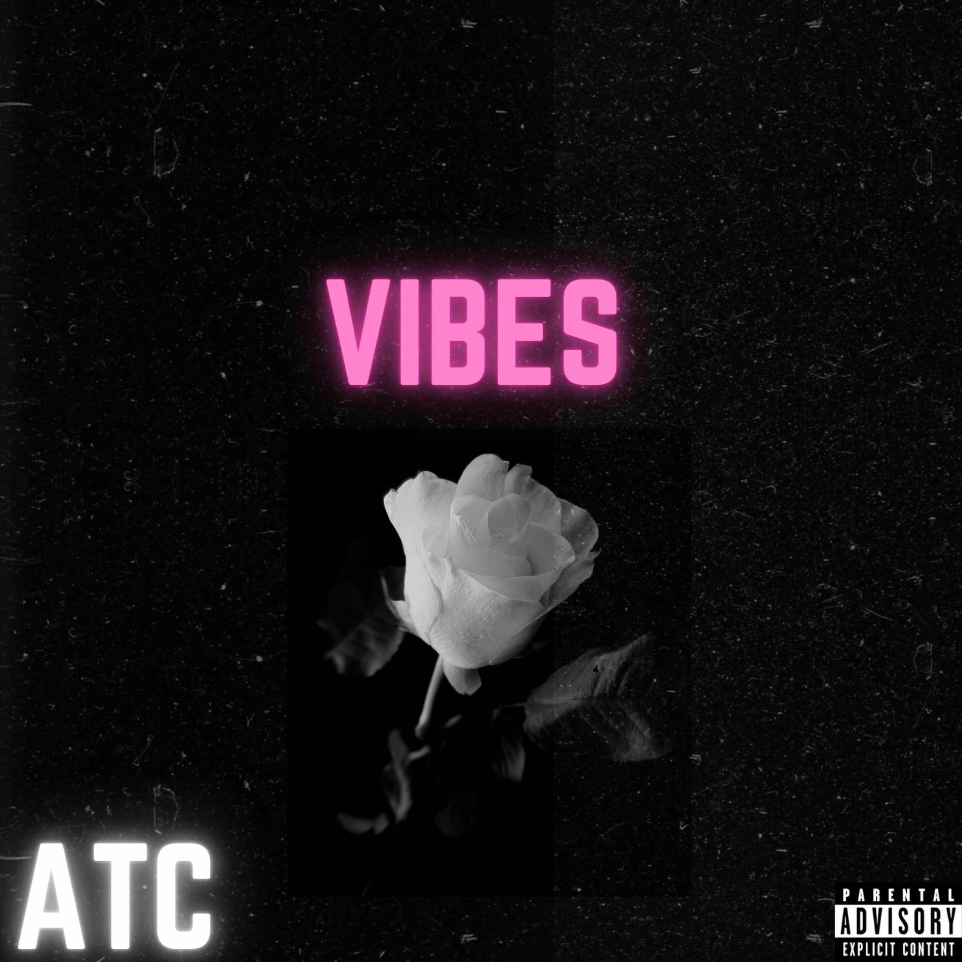 Album cover of VIBES