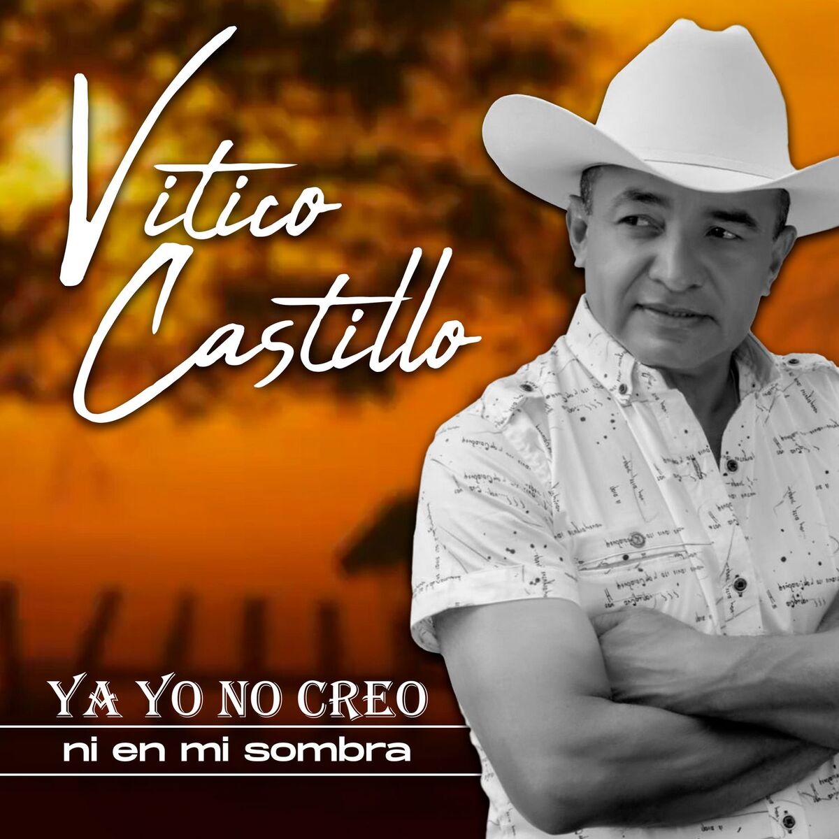 Album cover of Ya Yo No Creo Ni En Mi Sombra