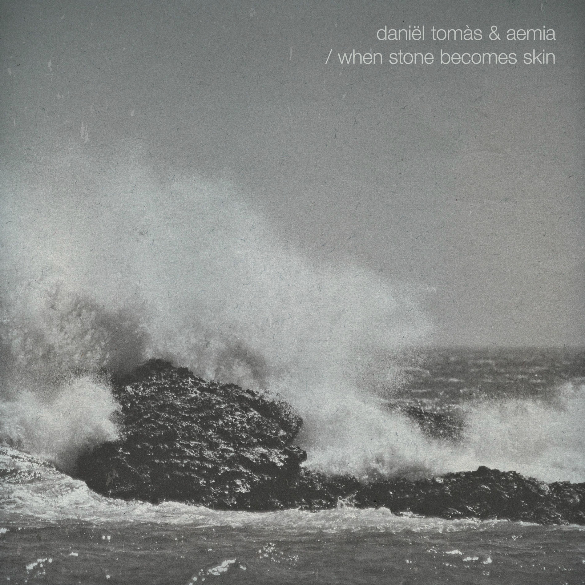 Album cover of When Stone Becomes Skin