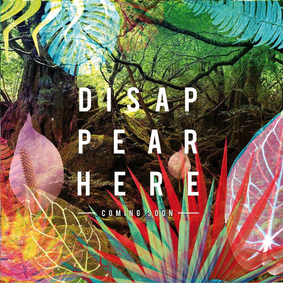 Album cover of Disappear Here EP