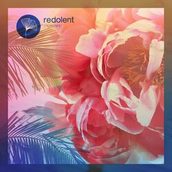 Cover of Colours