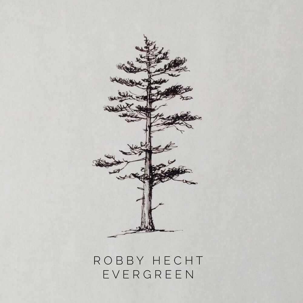 Picture of Evergreen
