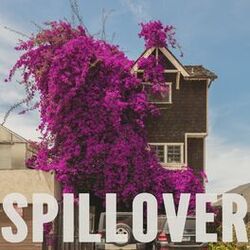 Cover of Spillover