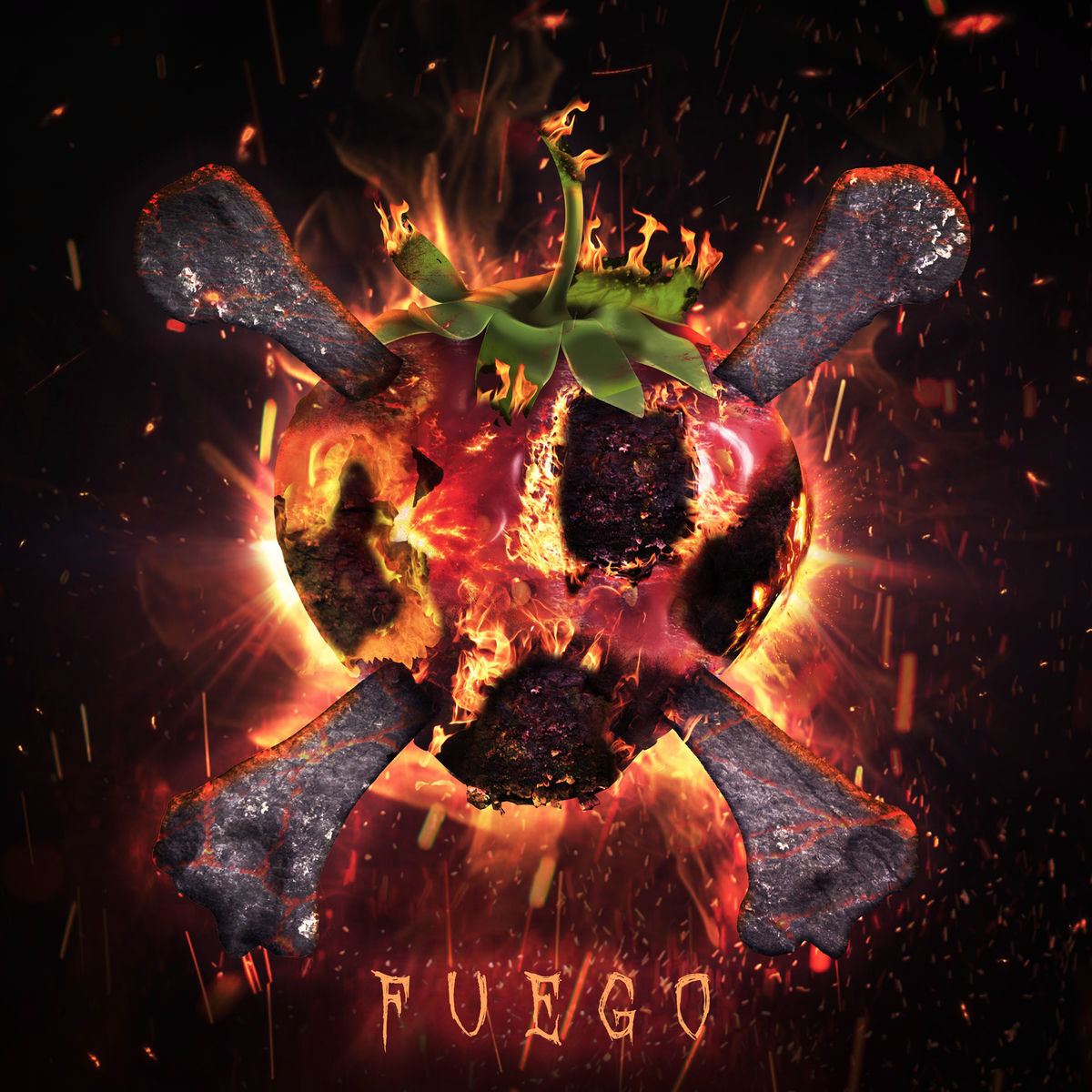 Album cover of Fuego