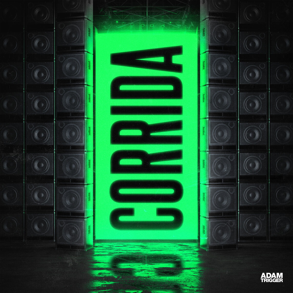 Album cover of Corrida