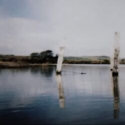 Cover of Foreign Hands (Demo)