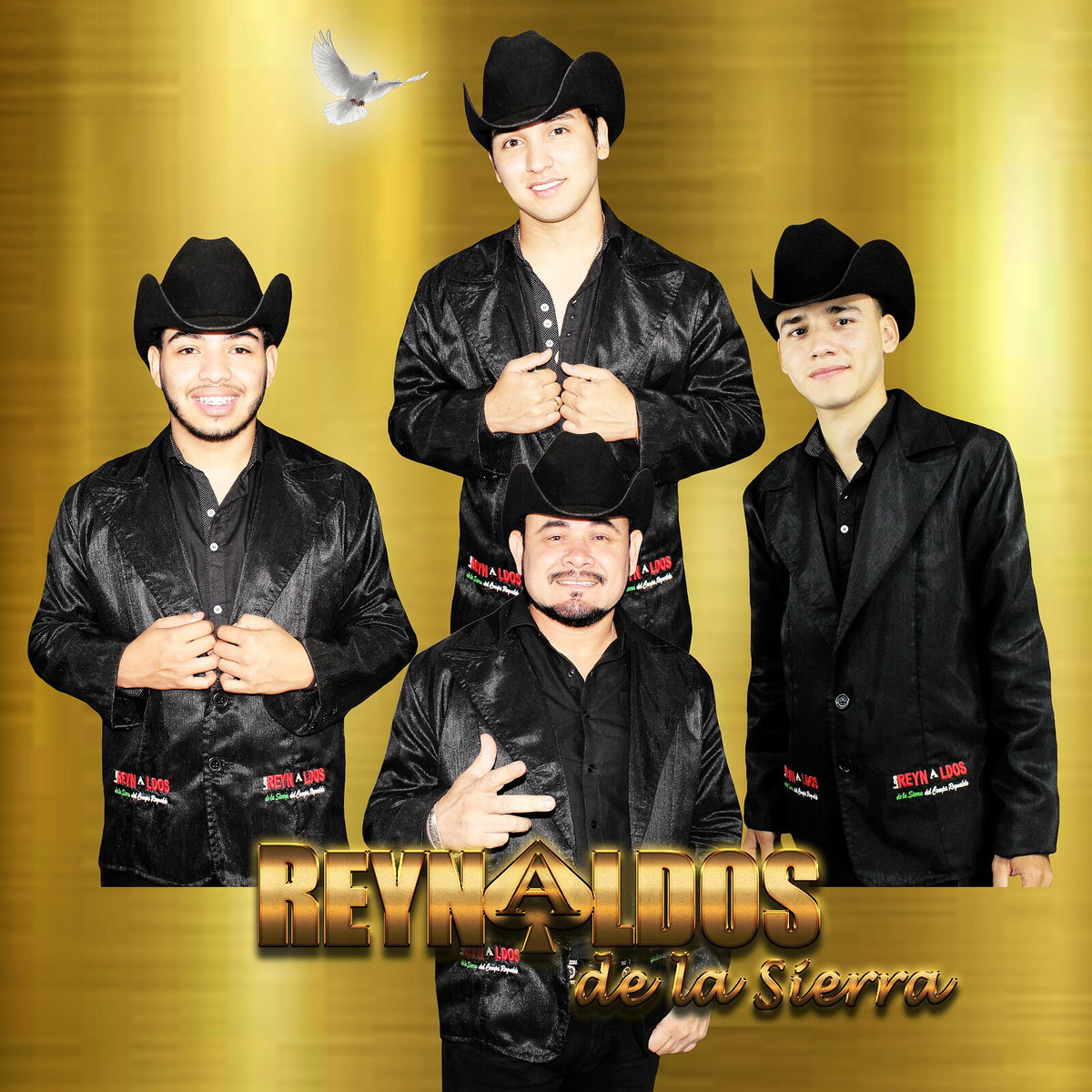 Album cover of Álbum 47 Puras Románticas De Oro