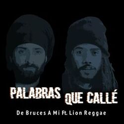 Cover of Palabras Que Callé
