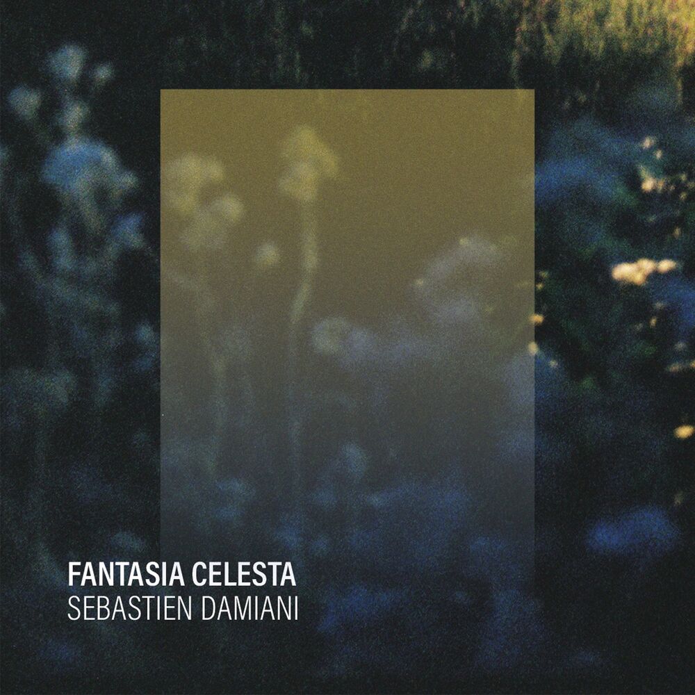Picture of Fantasia Celesta