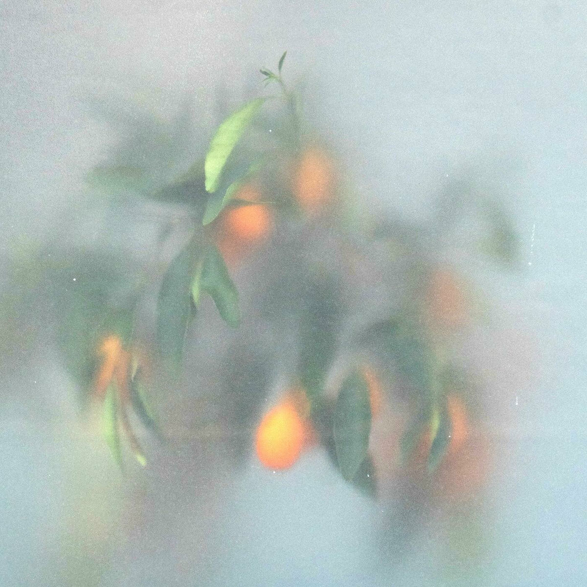 Album cover of Secret Garden
