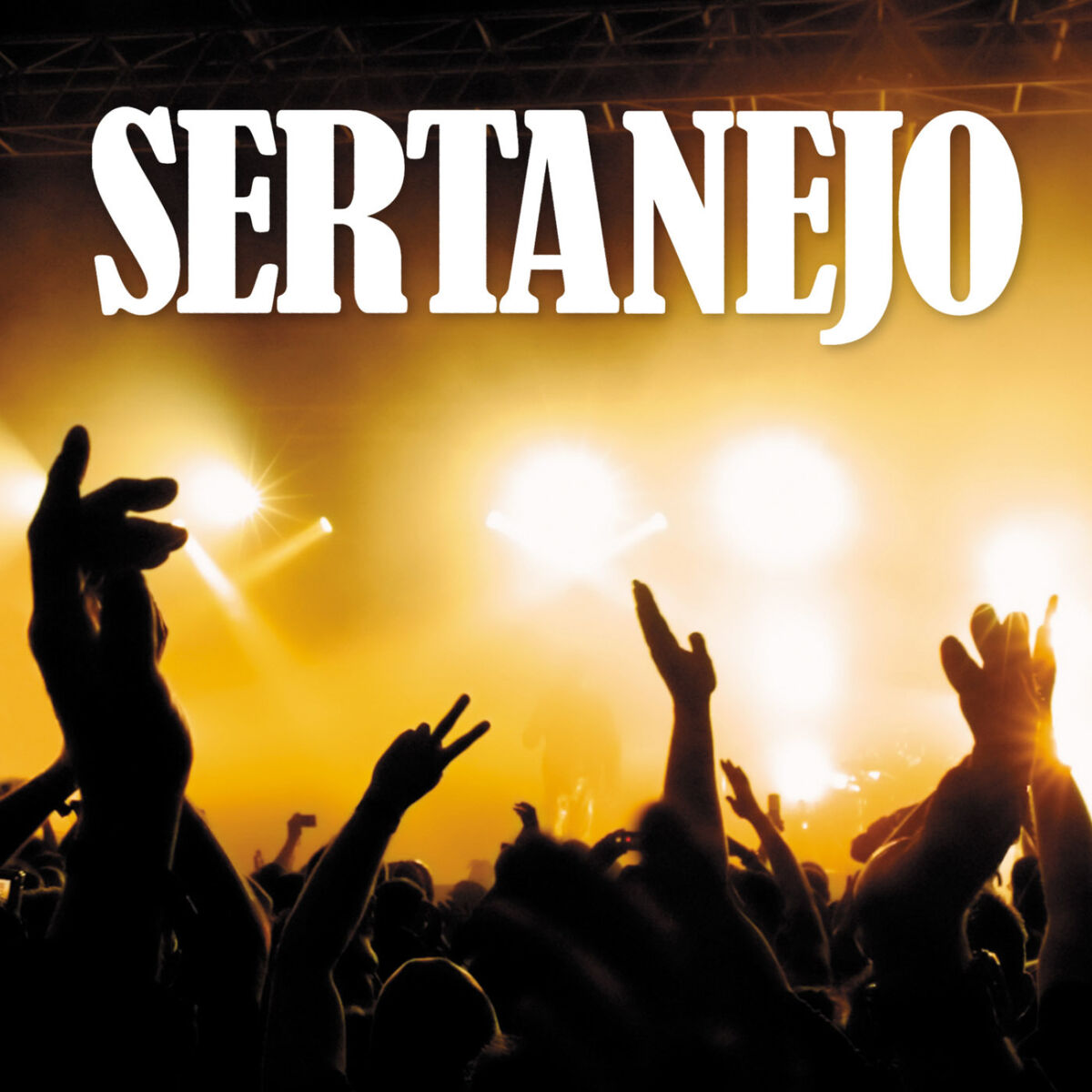 Album cover of Sertanejo