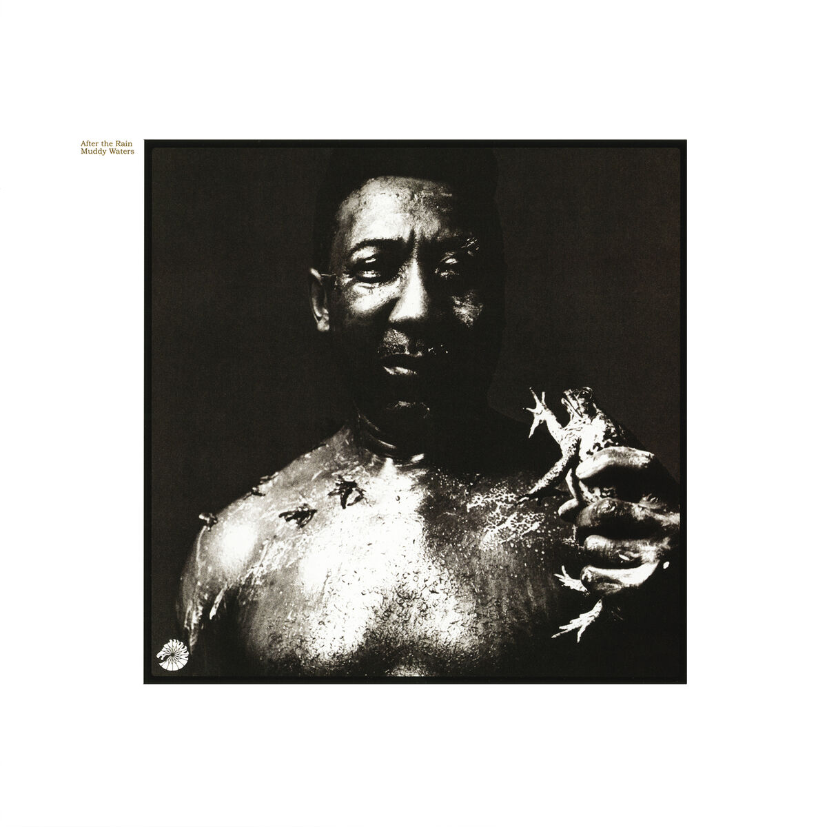 Album cover of After The Rain