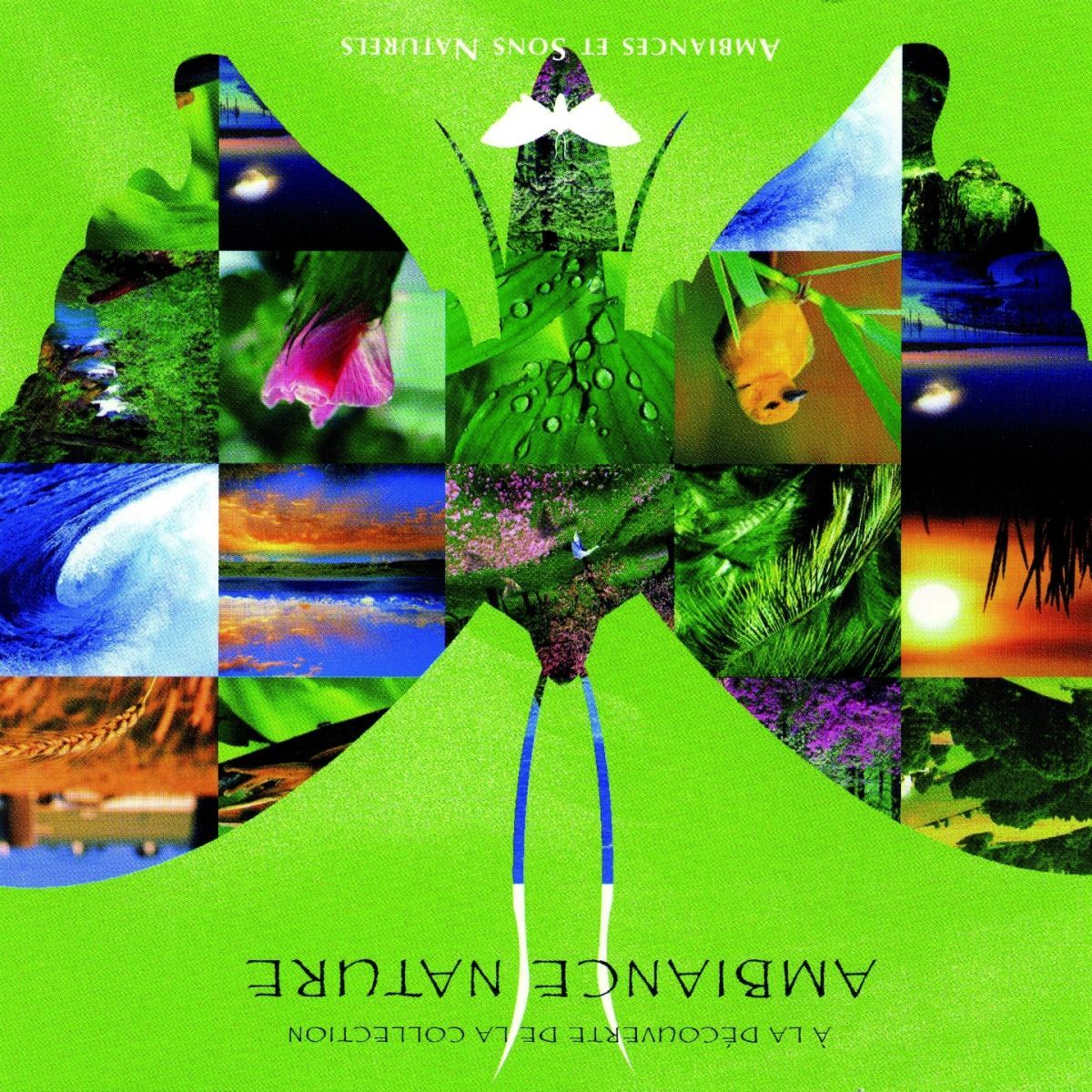 Album cover of Ambiance Nature Découverte