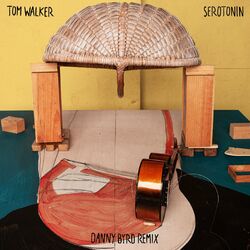 Cover of Serotonin (Danny Byrd Remix)