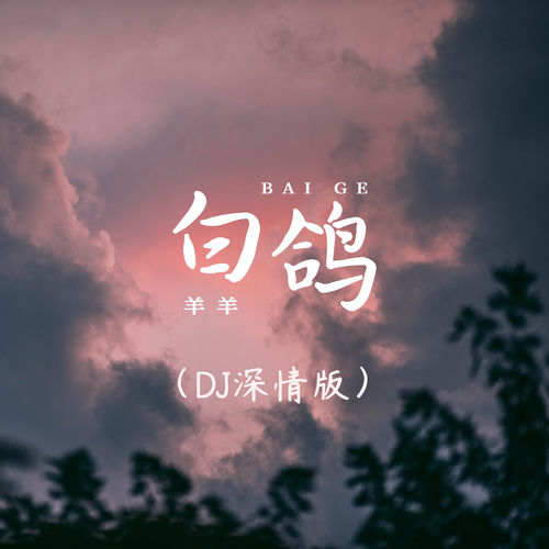 白鸽 (DJ深情版)