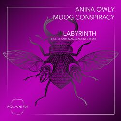 Cover of Labyrinth
