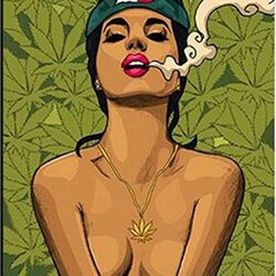 Cover of Sativa