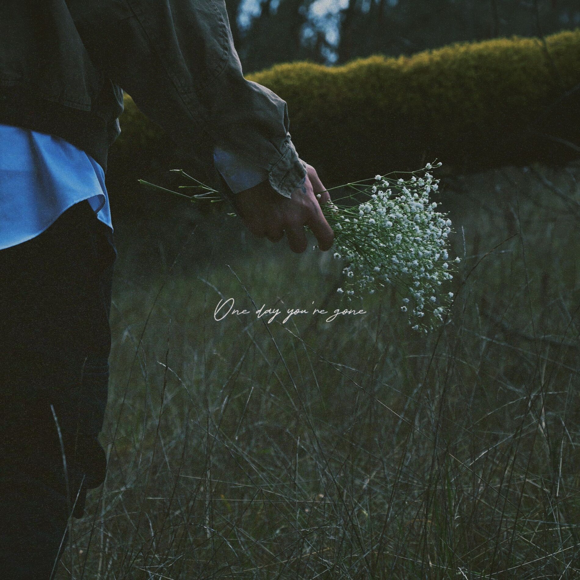 Album cover of one day you're gone