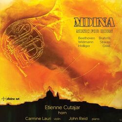 Cover of Mdina: Music for Horn