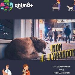 Cover of Non à l'abandon (Version acoustique)