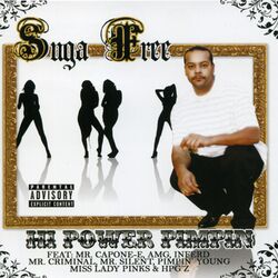 Cover of Hi Power Pimpin'