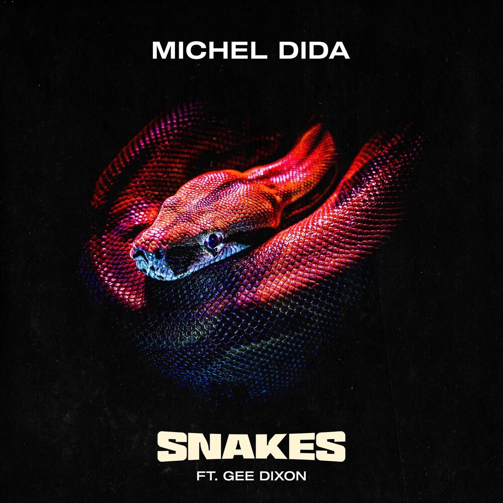 Picture of Snakes