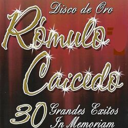 Cover of 30 Grandes éxitos In Memorian, Disco de oro