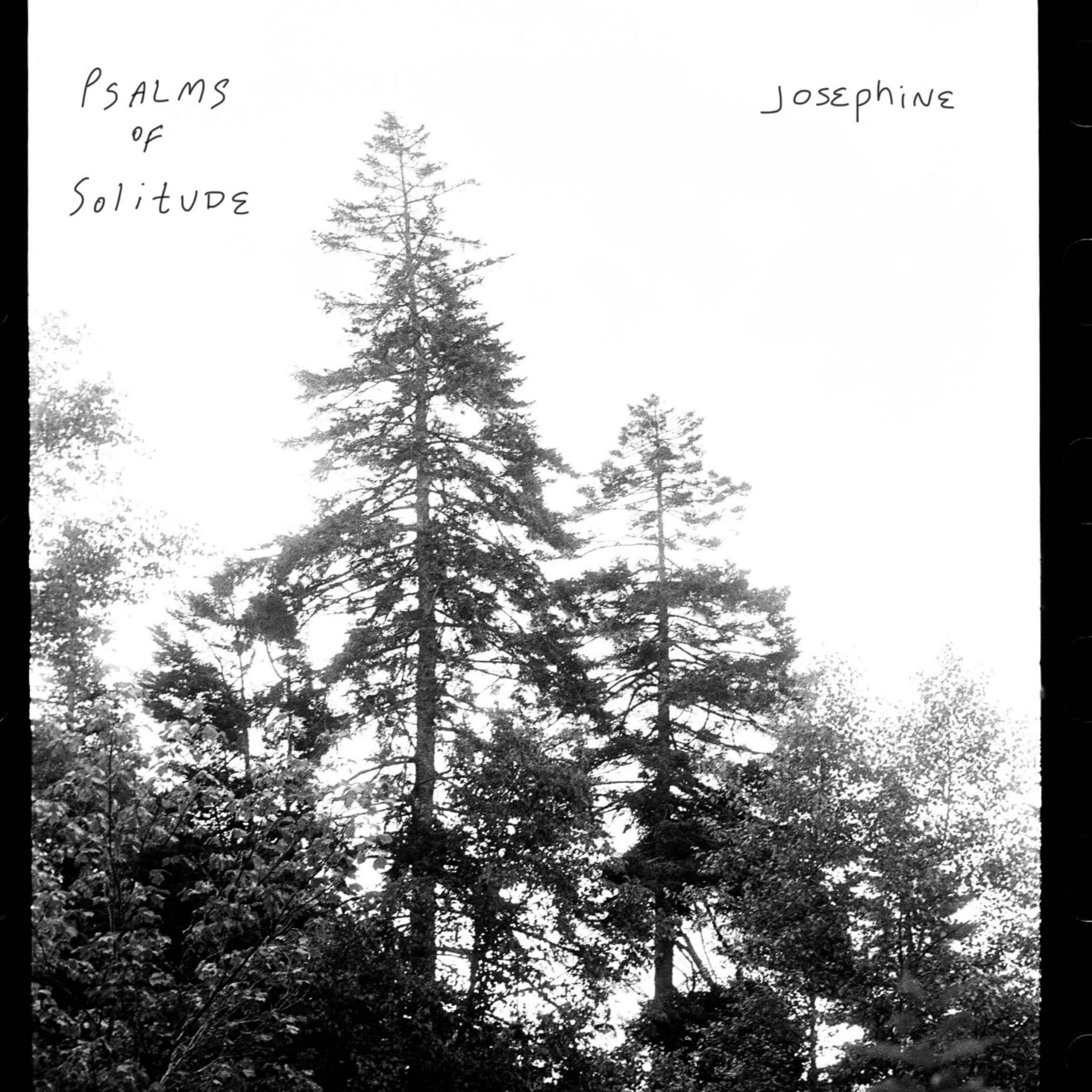 Album cover of Psalms of Solitude