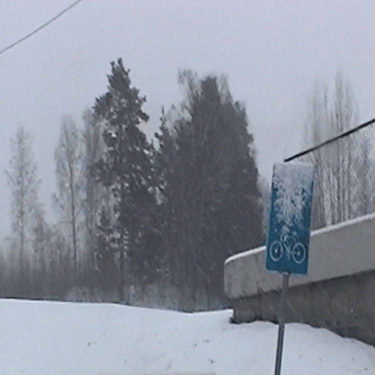 Album cover of my little winter