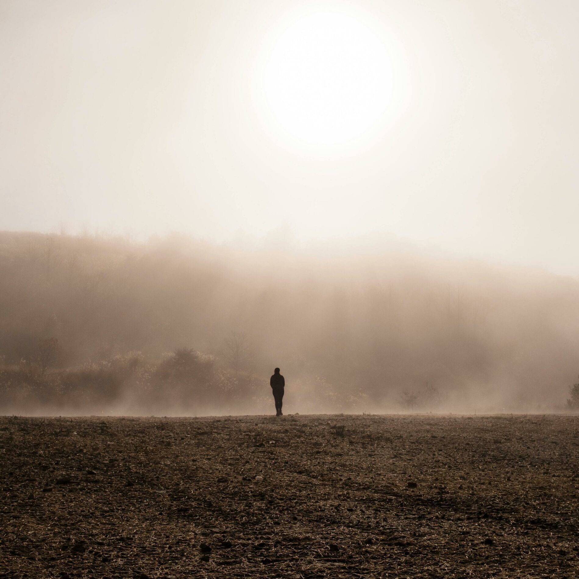 Album cover of The Great Unknown