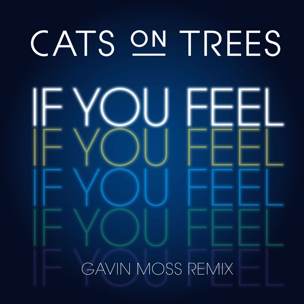 Picture of If You Feel (Gavin Moss Remix)