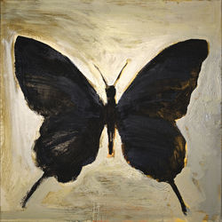 Album Black Butterfly