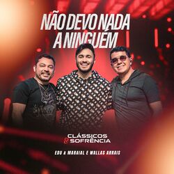 Cover of Não Devo Nada a Ninguém (Ao Vivo)