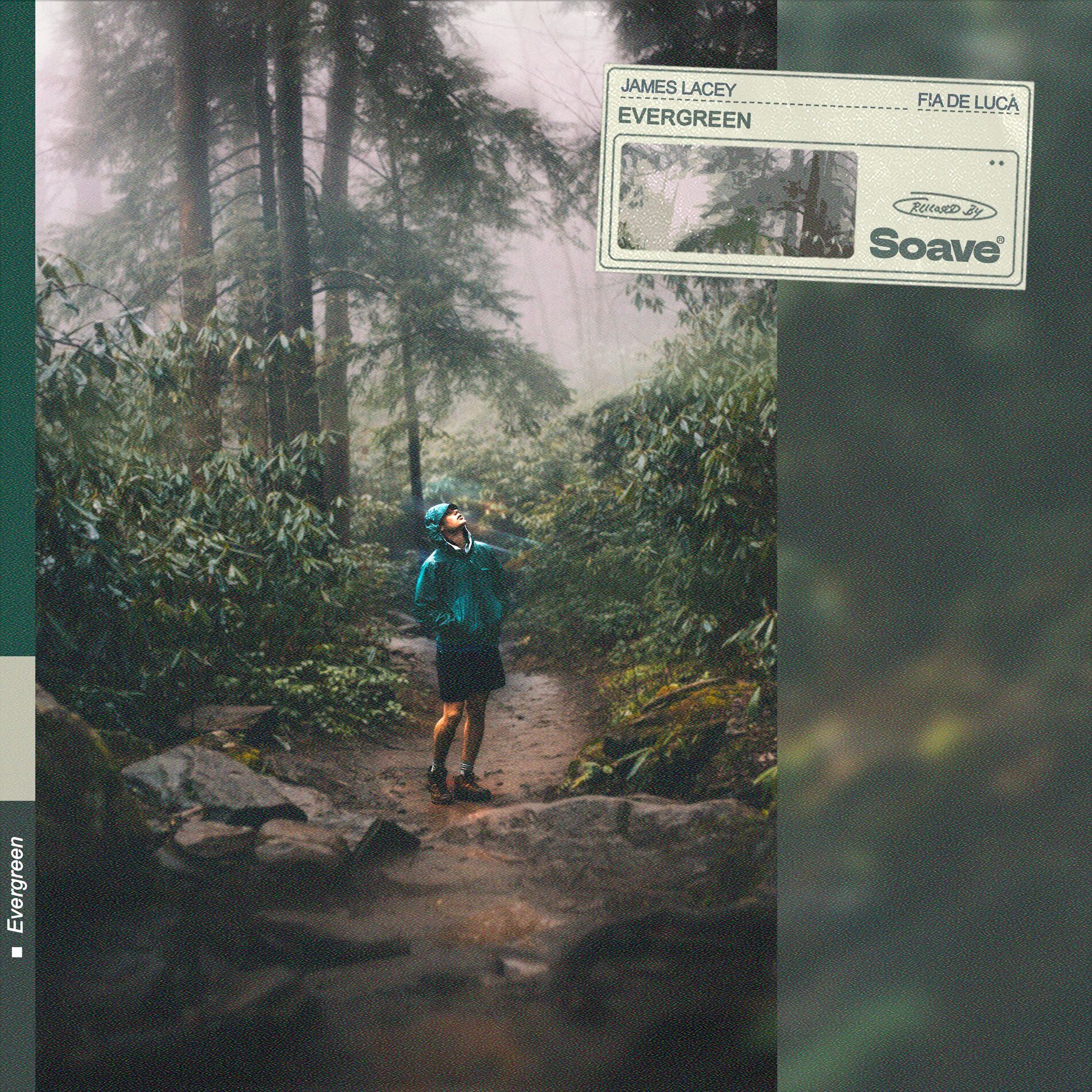 Album cover of Evergreen