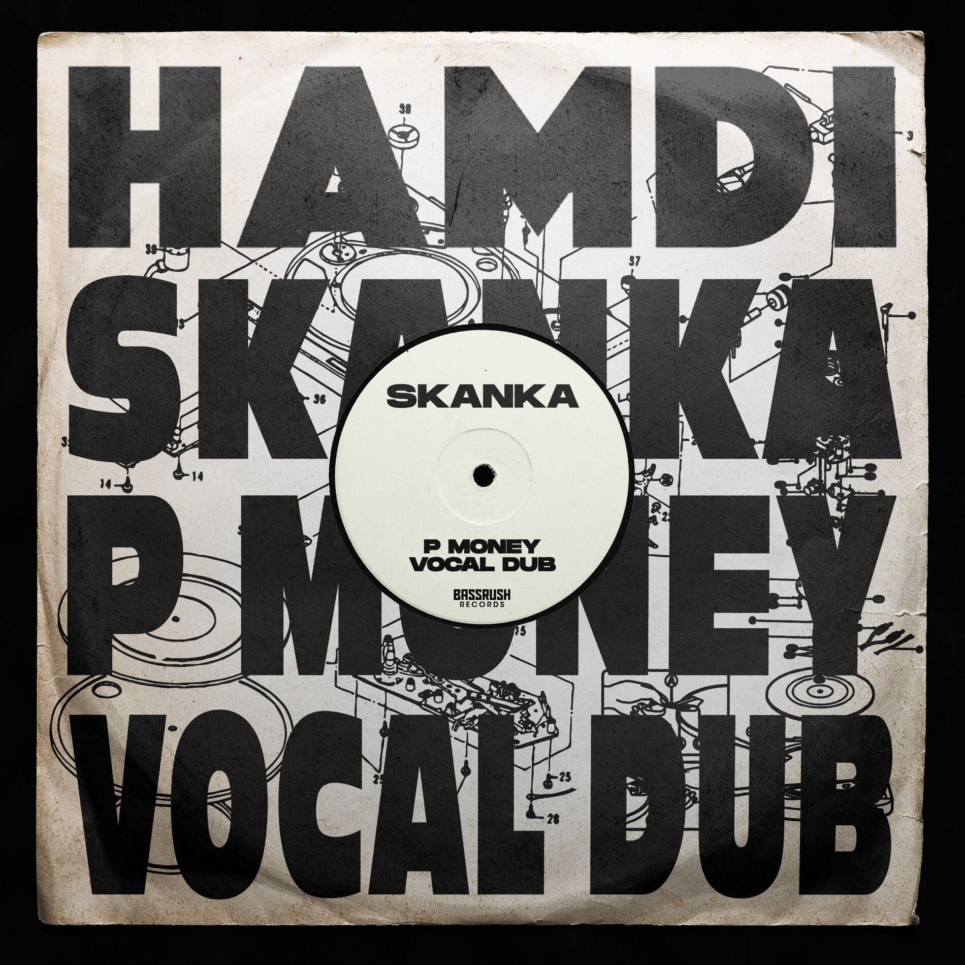 Album cover of Skanka