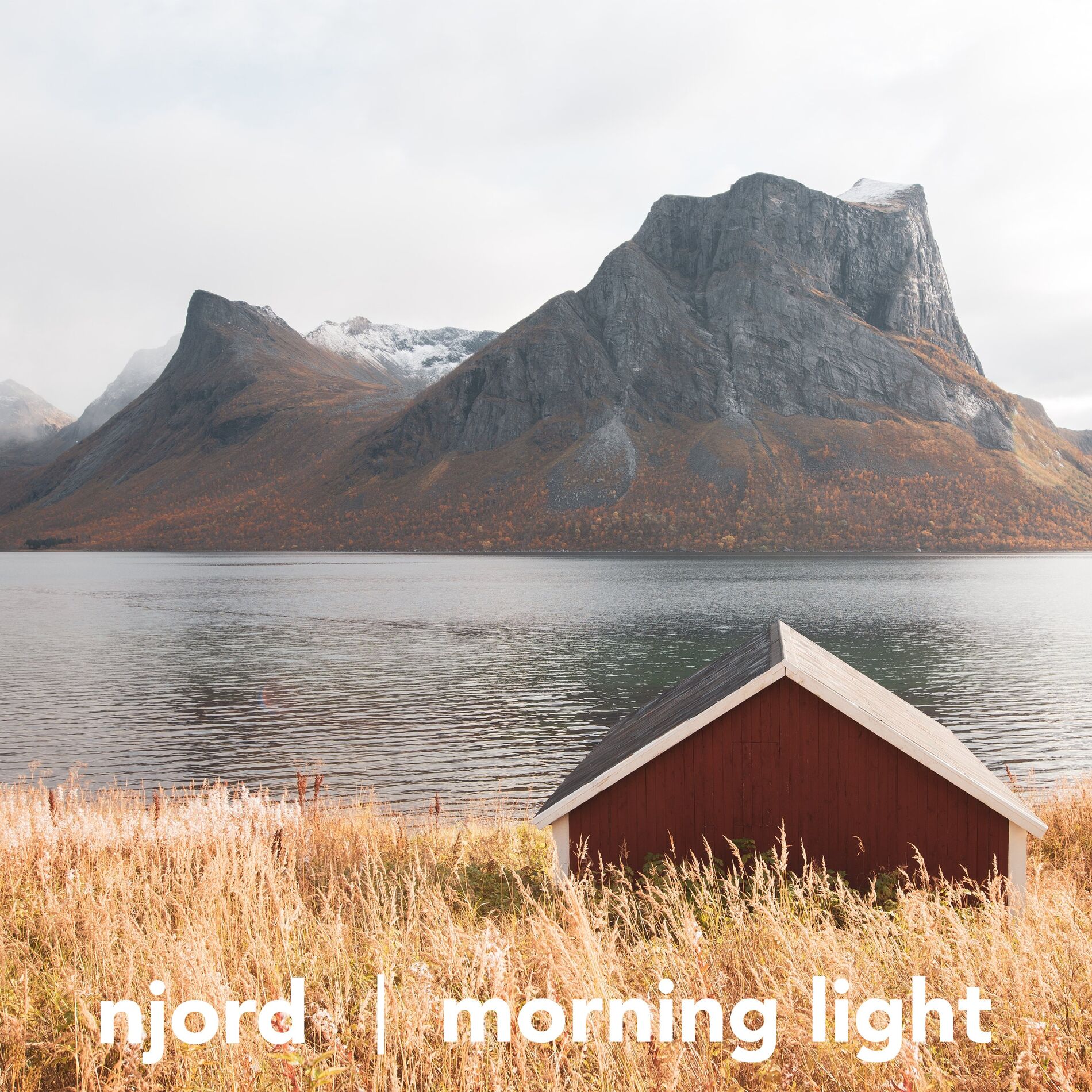 Album cover of Morning Light
