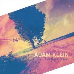 Cover of Low Flyin' Planes