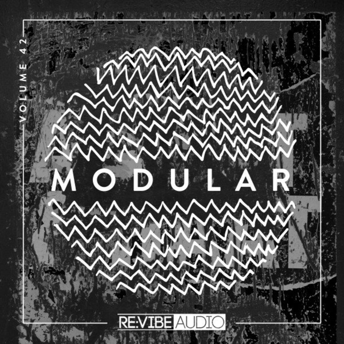 Album cover of Modular, Vol. 42