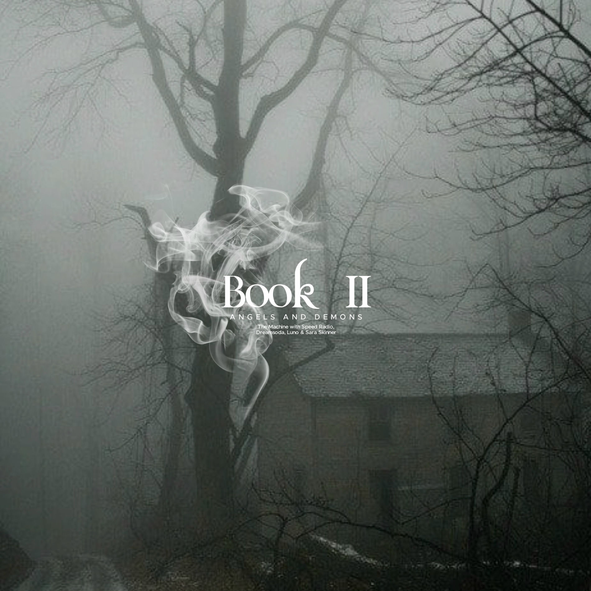 Album cover of Book II: Angels and Demons