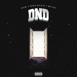 Cover of DND