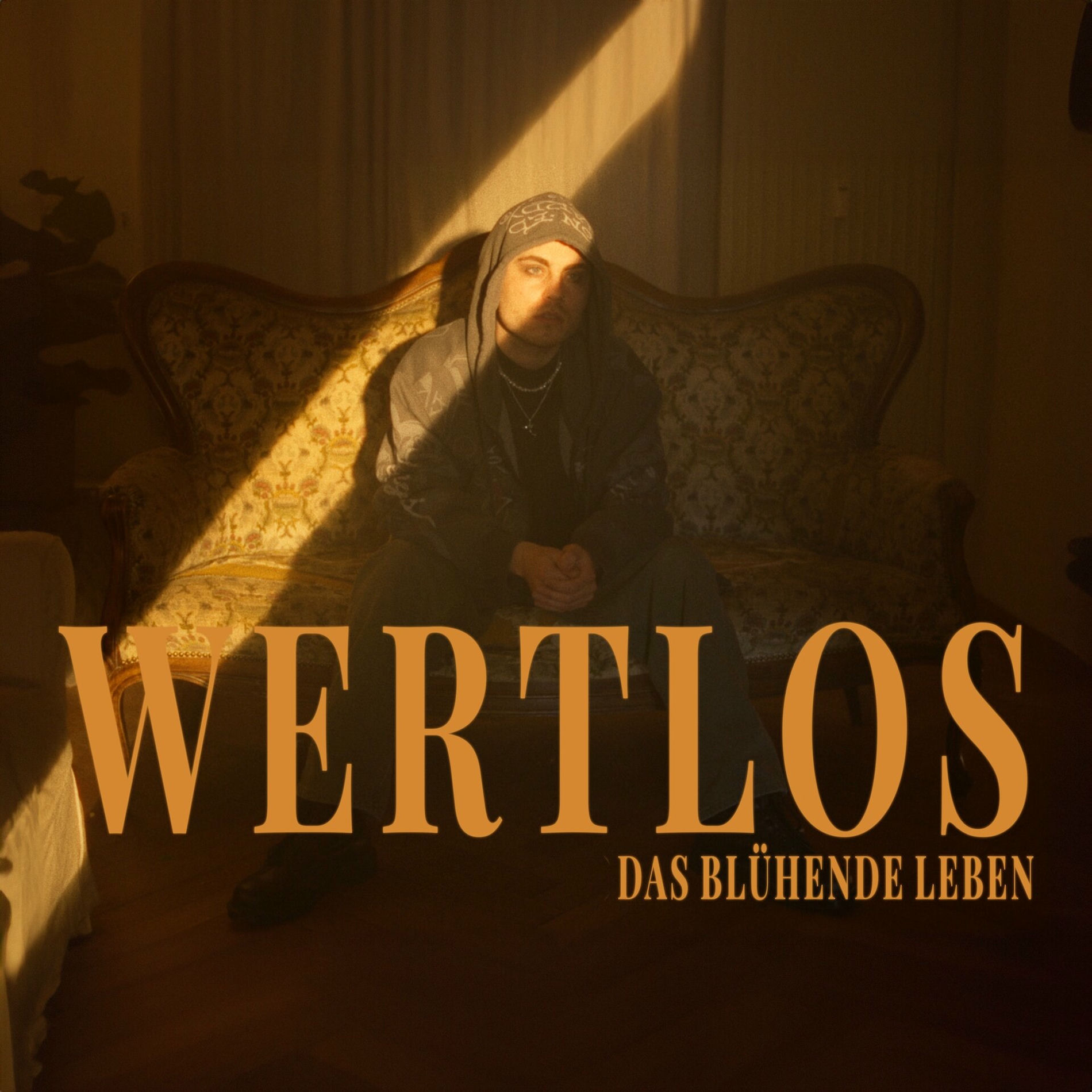 Album cover of Wertlos