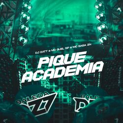 Cover of PIQUE ACADEMIA