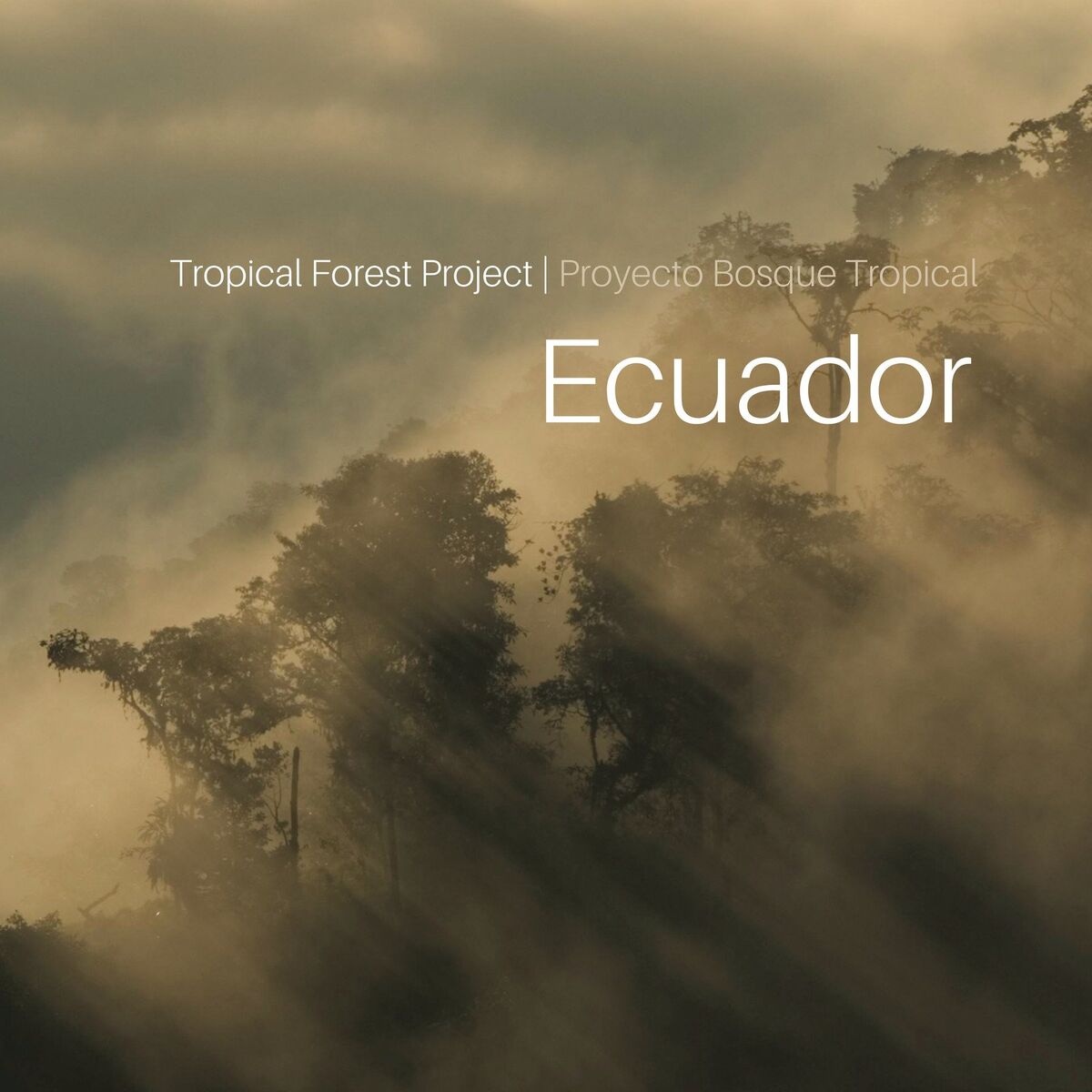 Album cover of Tropical Forest Project: Ecuador