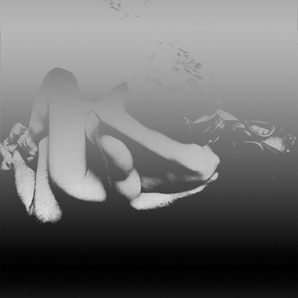 Picture of Thanks to the Moth and Areanna Rose