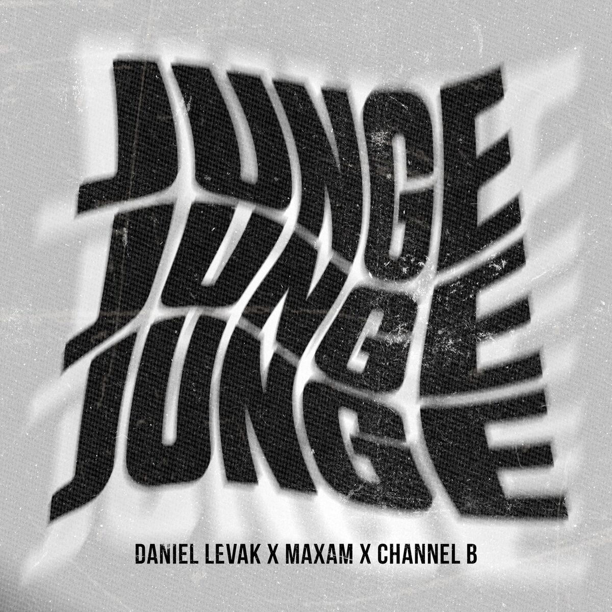 Album cover of Junge Junge Junge